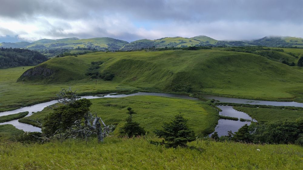 Photograph by Дарья Карамышева