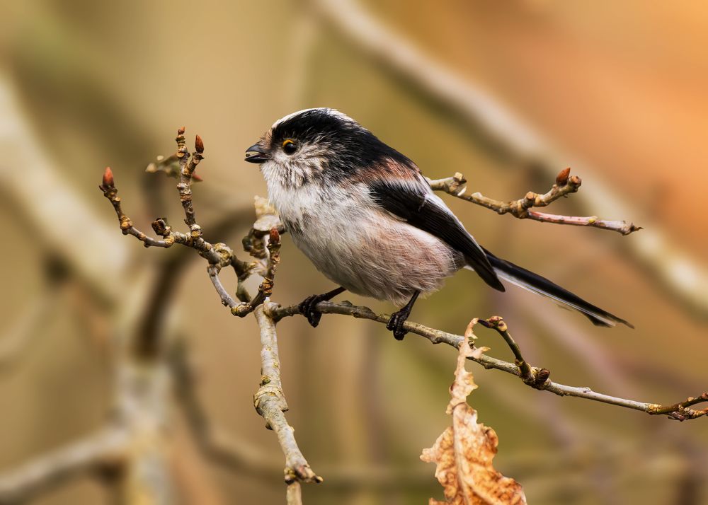 Photograph by Wendy Vanhoudt