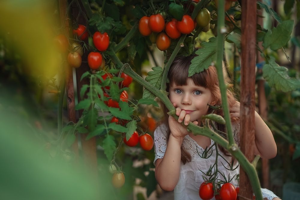 Photograph by Наталья Шкроб