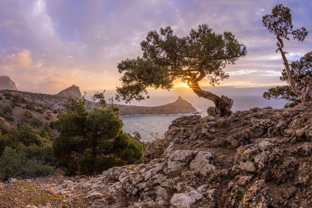 Photograph by Алексей Королёв