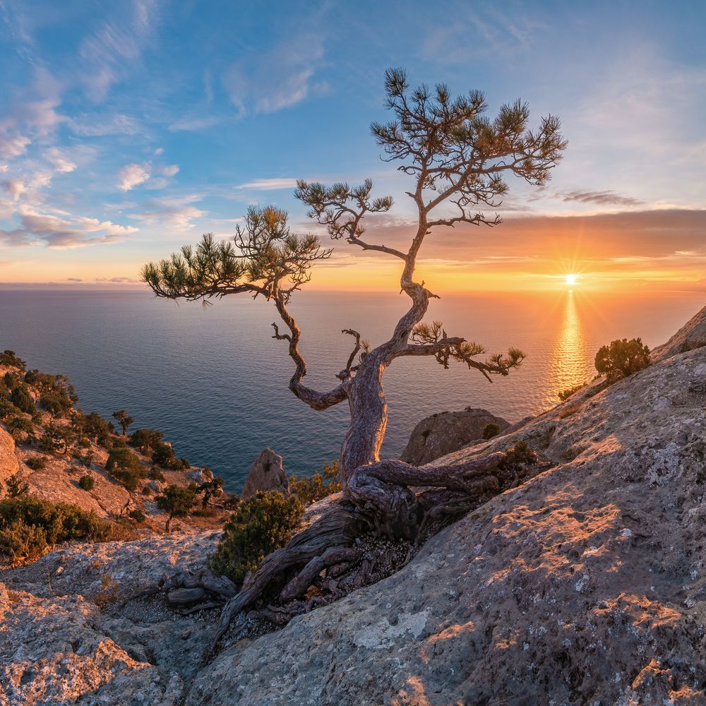 Landscapes of the Novyi Svet