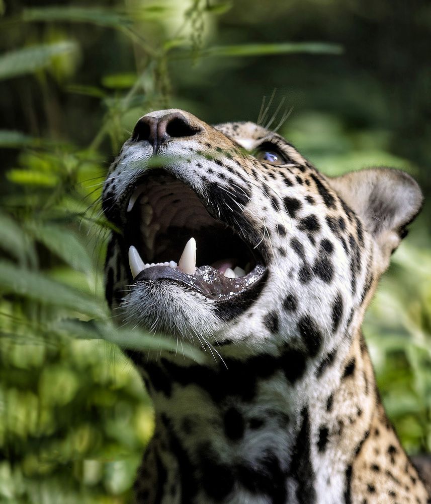 Photograph by Андрей Автухов