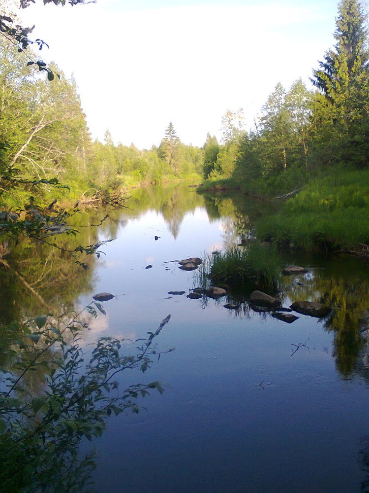 Фотография автора Михаил Смирнов
