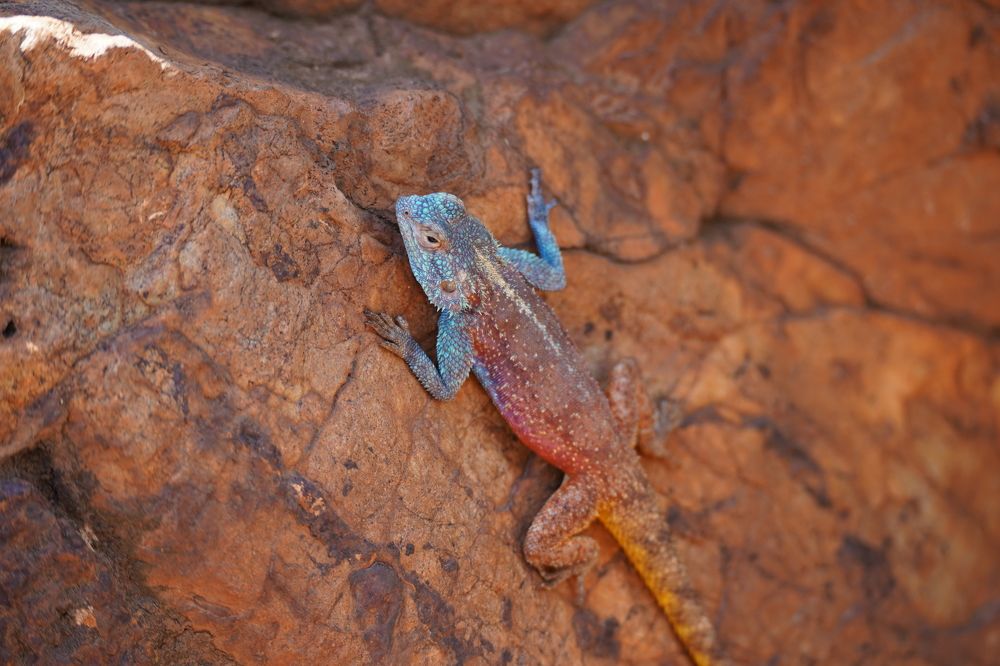 Photograph by Anna Matrushina