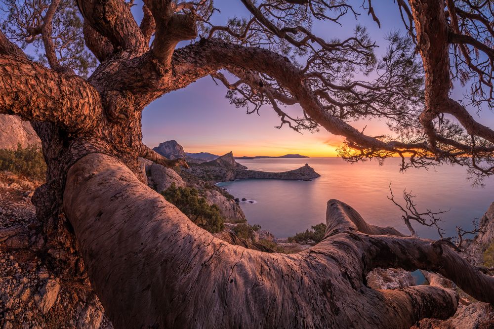 Visiting a Fairy Tale