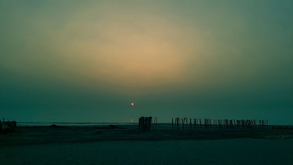 Photo #10335299