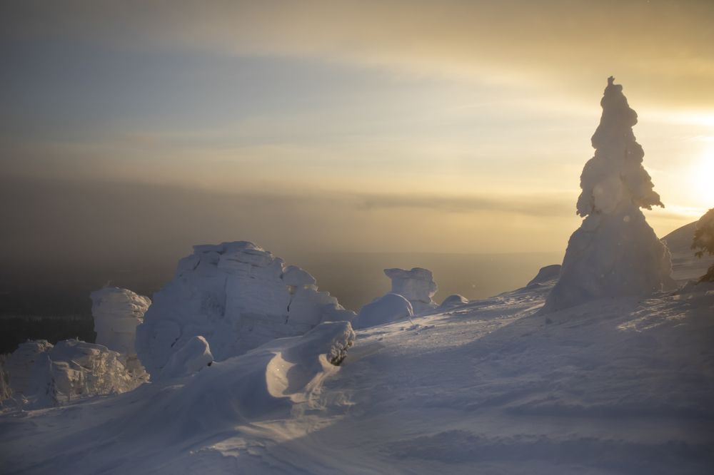 Photograph by Татьяна Дубовицкая