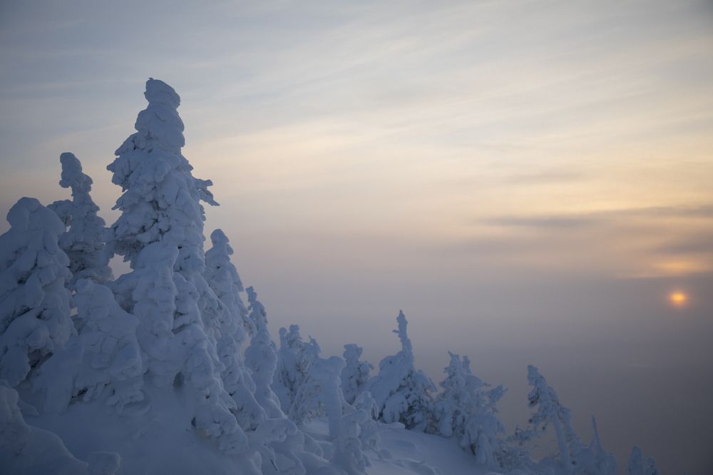 Photograph by Татьяна Дубовицкая