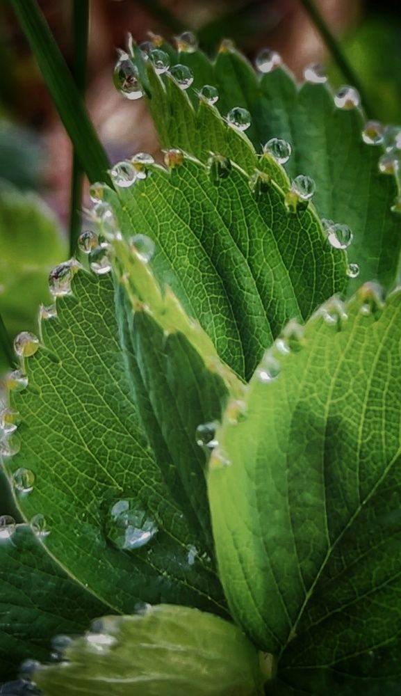 Photograph by Елена Кошелева