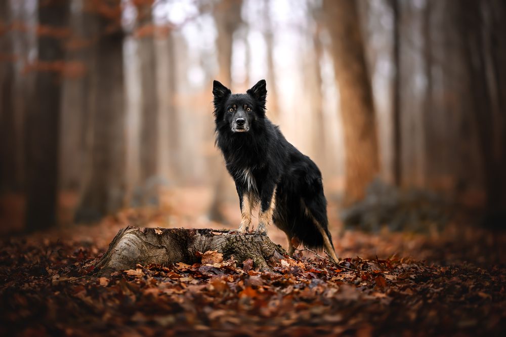 Photograph by Laetitia Delval