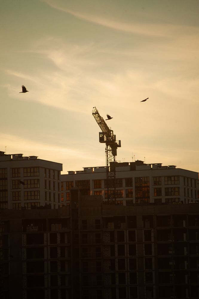 Photograph by Вероника Белько