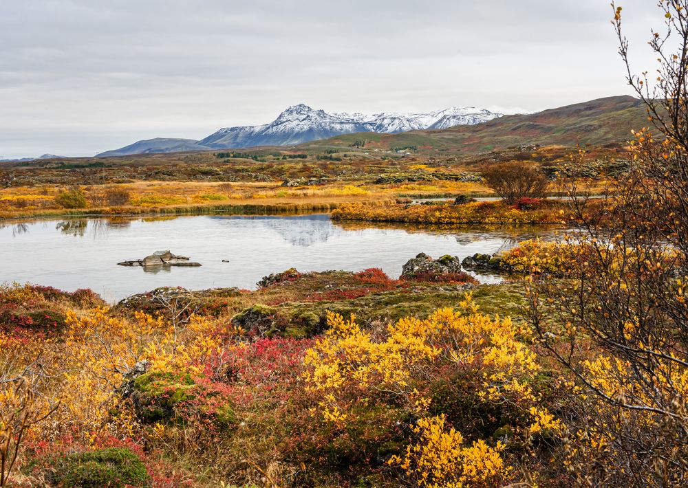 Photograph by Piotr Mickevic