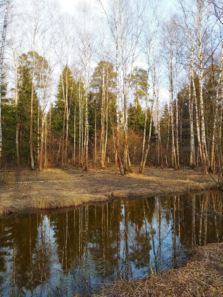 Photograph by Елена Короткова