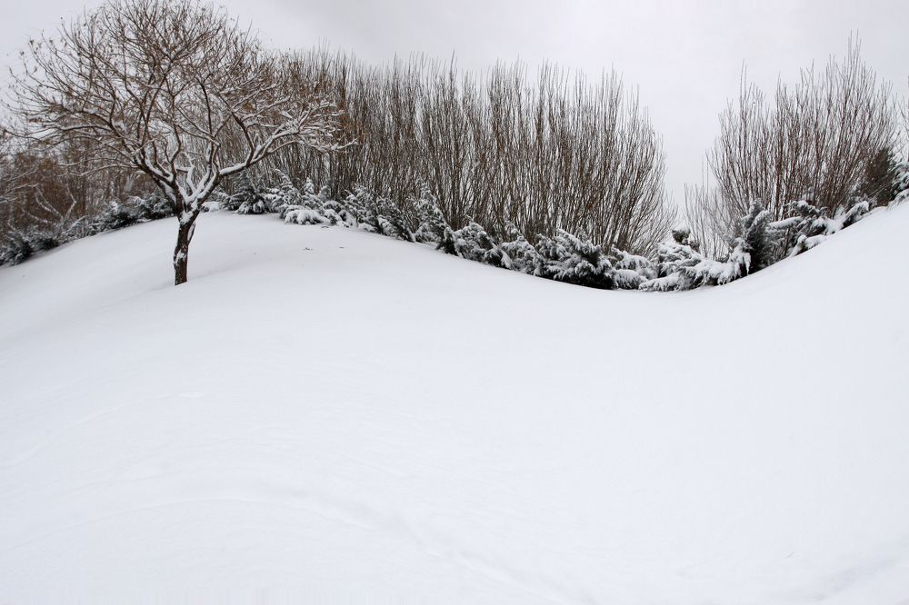 Photograph by Farzad Hamidimanesh