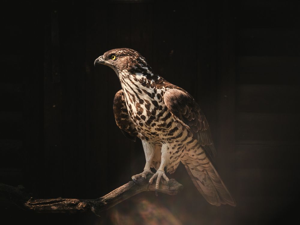 Photograph by Vitaliy