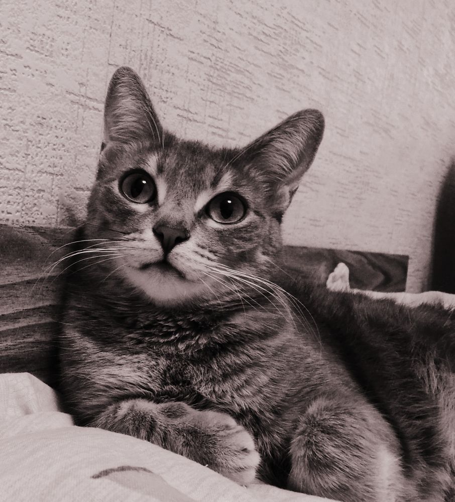 Photograph by Olga Александрова