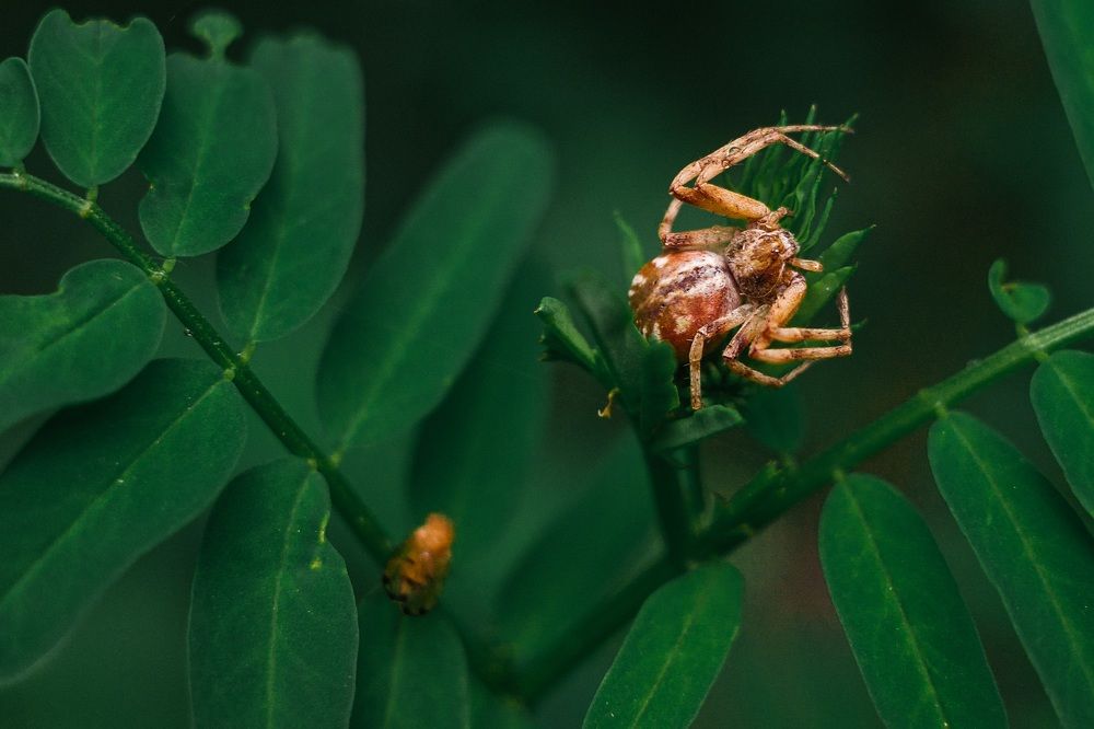 Photograph by Алла Никушкина