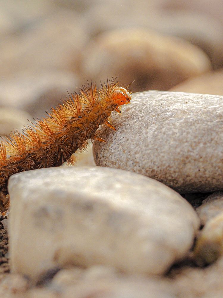 Photograph by Лейла Прощина