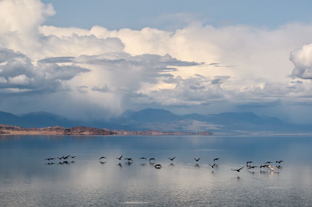 Фотография автора Мария Рохмистрова