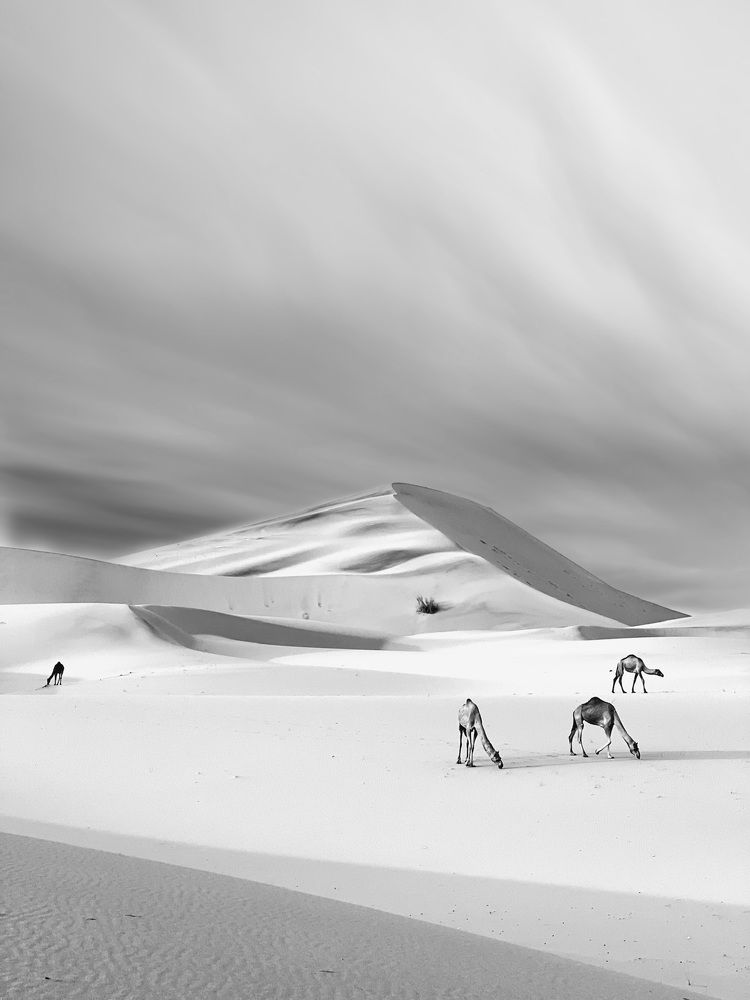 Photograph by Saleem Alfidi