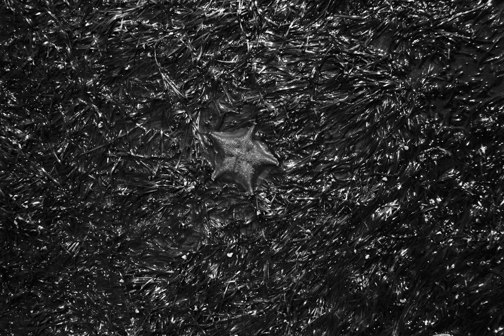 Photograph by Maria Drabusheva