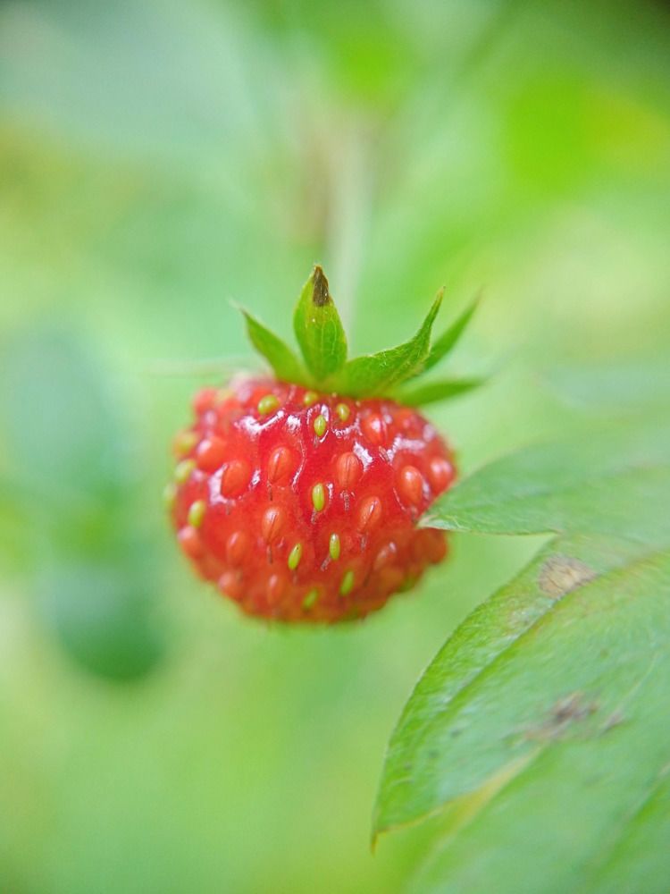 Photograph by Екатерина Одинцова