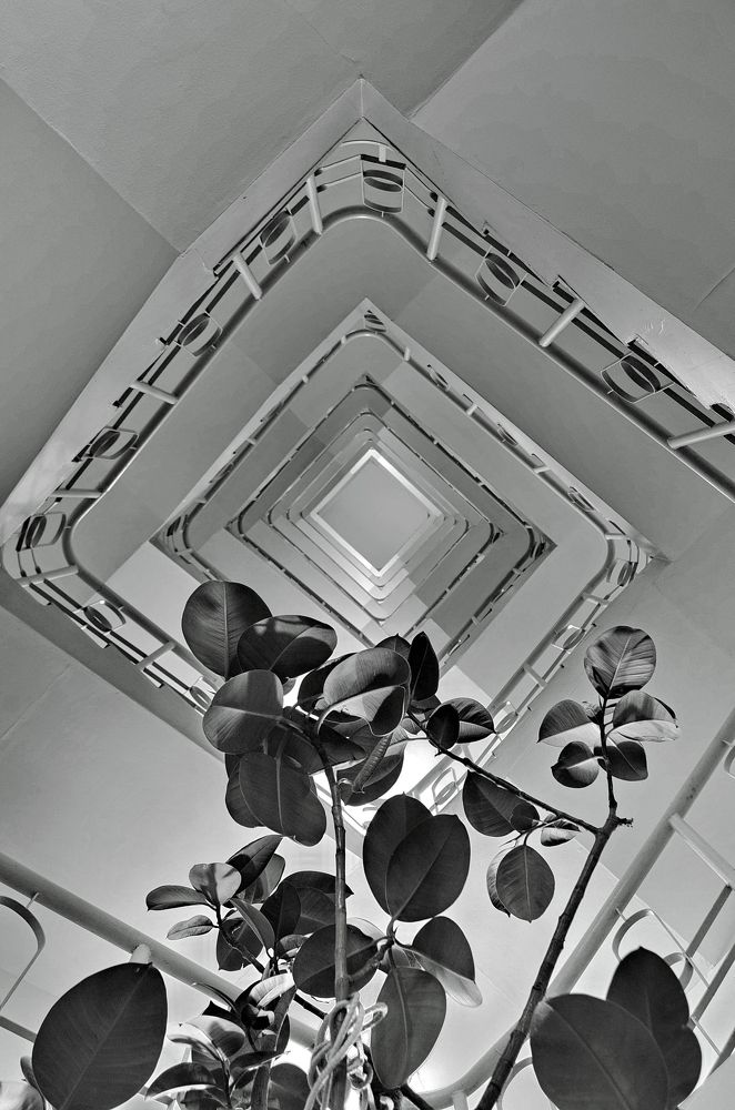 Photograph by Константин Мишнаевский