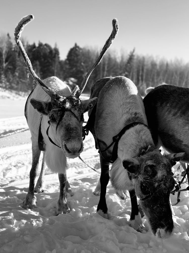 Фотография автора Яврова Татьяна