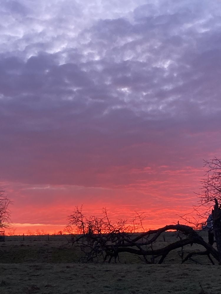 Photograph by Olena Rebrova