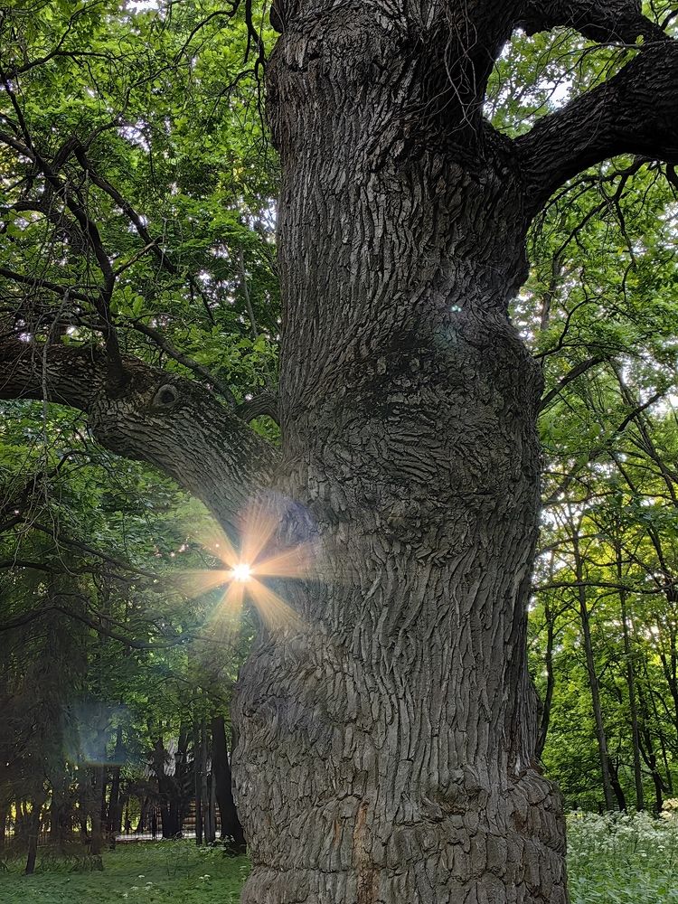 Photograph by Дмитрий Дмитриев