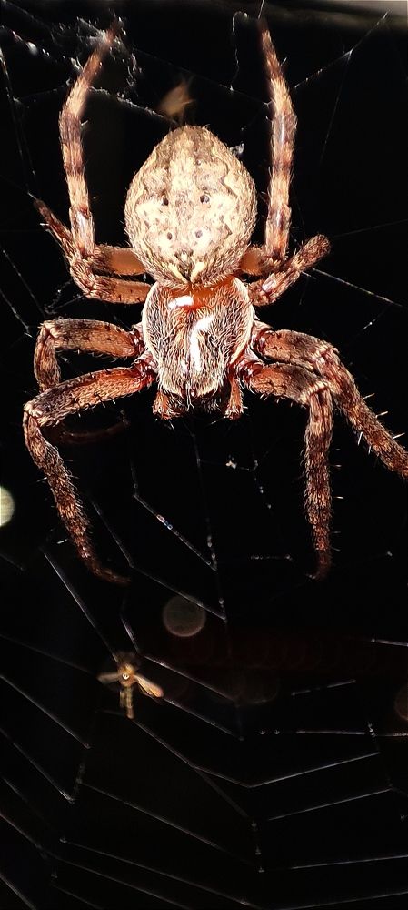 Photograph by Ирина Данилова