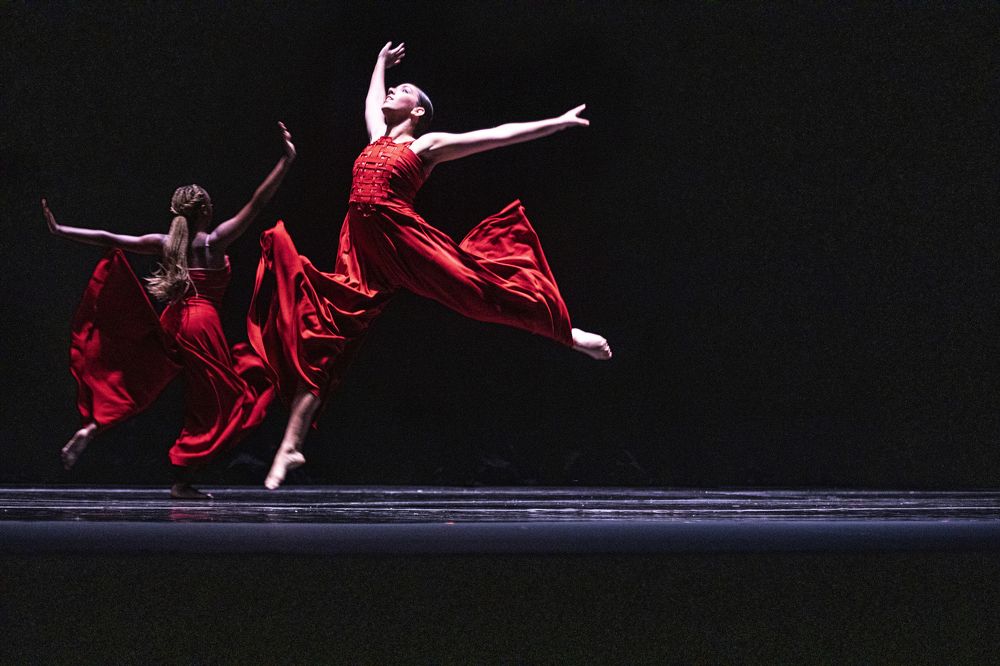 Photograph by maria yanet Paulino