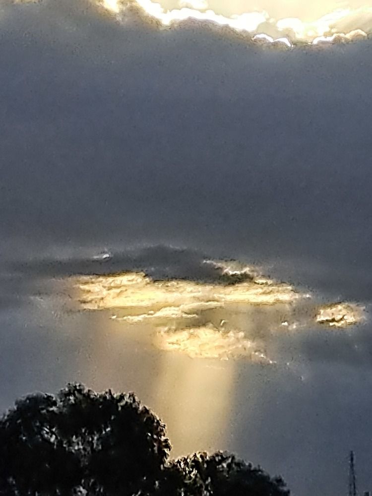 Фотография автора gustavo pecelis