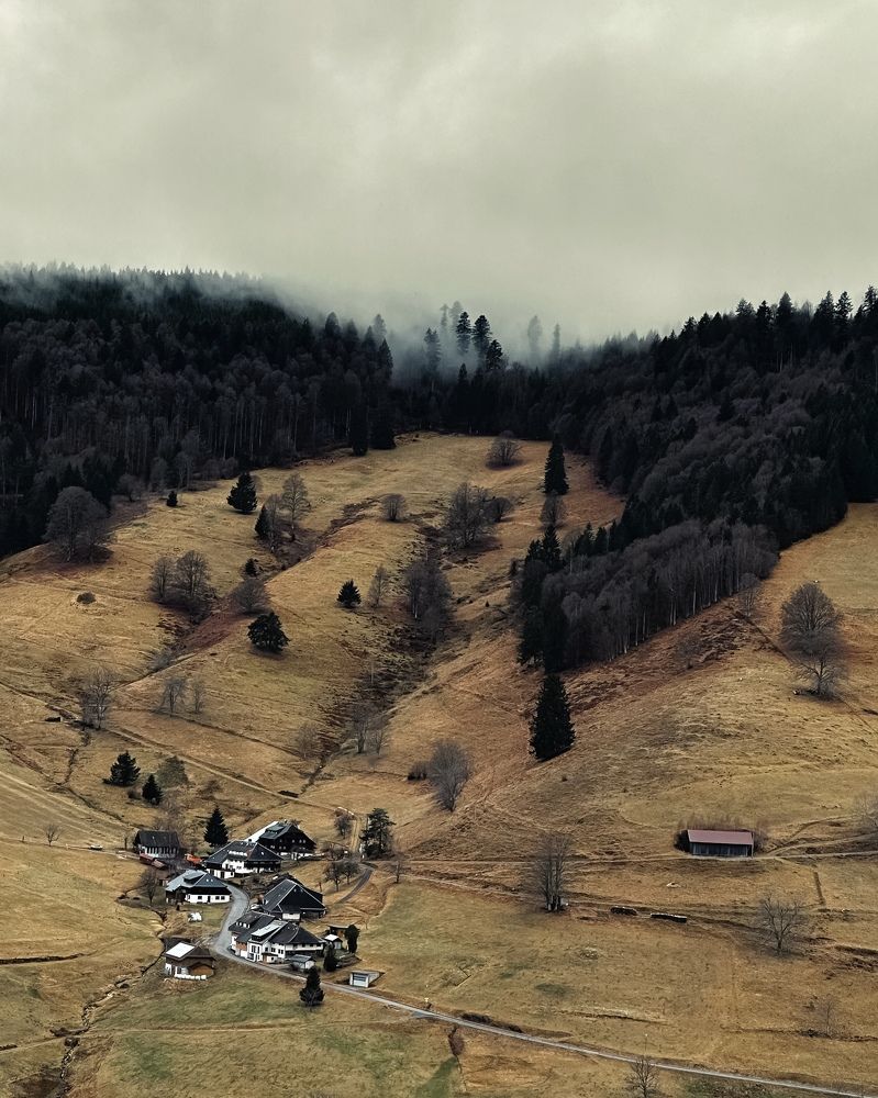 Photograph by Mohammad Sahihi Benis