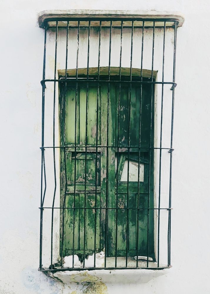 Miradas a través del tiempo