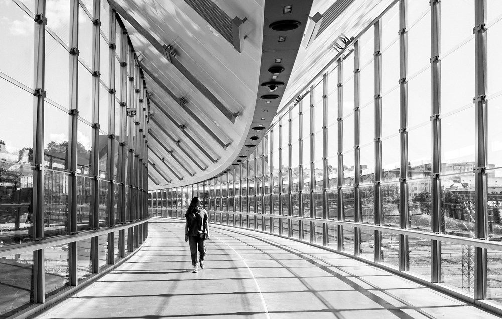 A Bridge to the Future