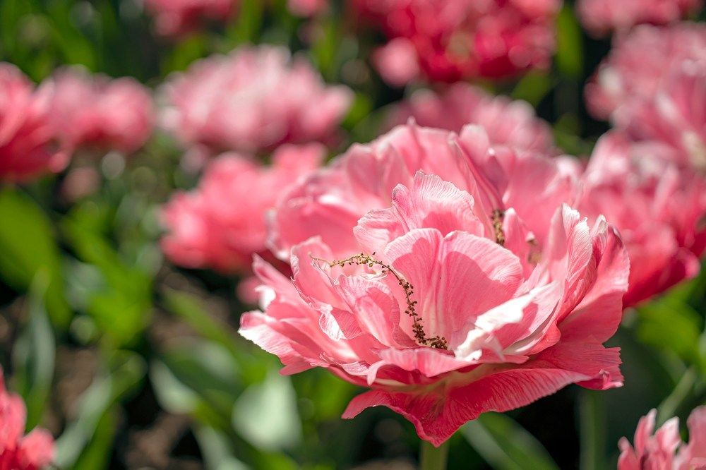 Photograph by Анастасия Белякова