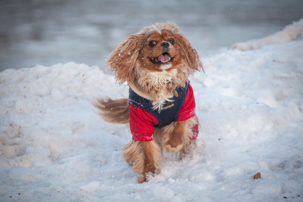 Photograph by Очева Наталья Александровна