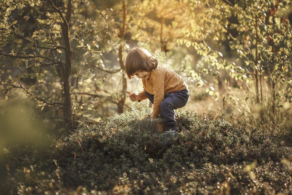 Photograph by Елена Гаврильчик