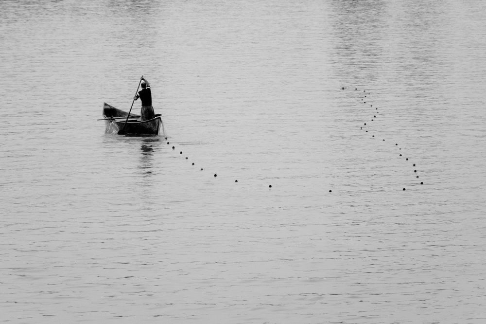 Photograph by pezhman taheri lisar