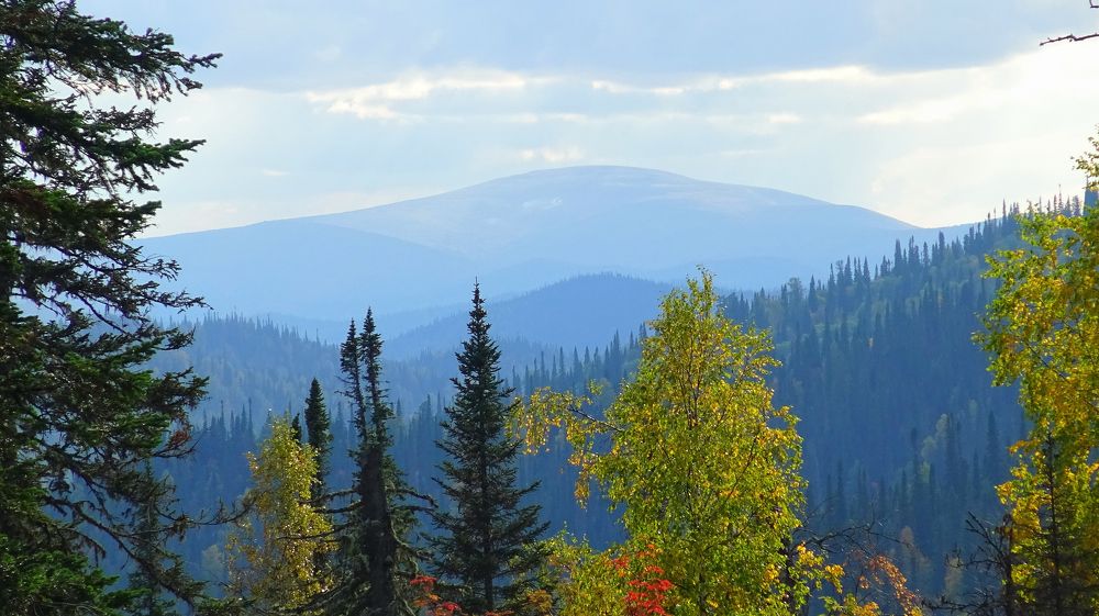 Photograph by Юрий Тимофеев