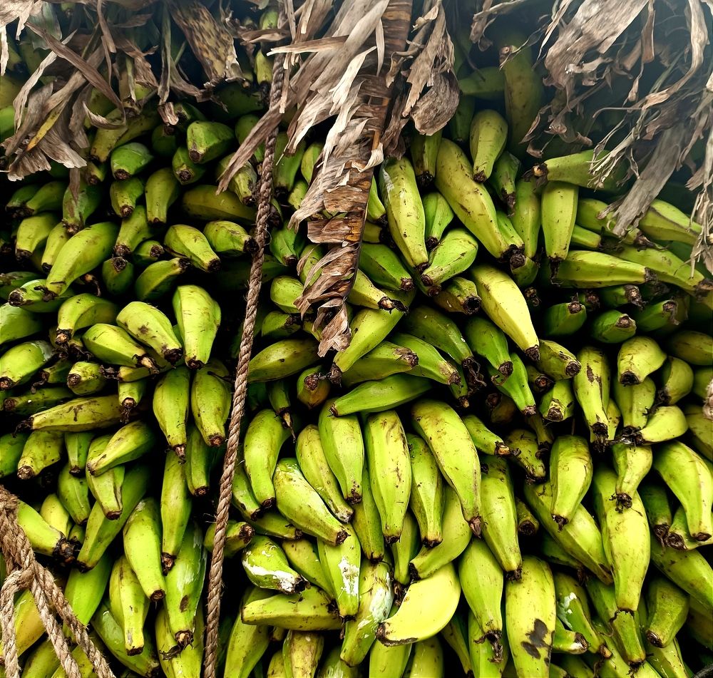 Photograph by Baiba Mennika Paegle