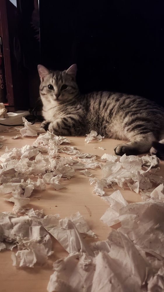 Photograph by Горбач Ирина