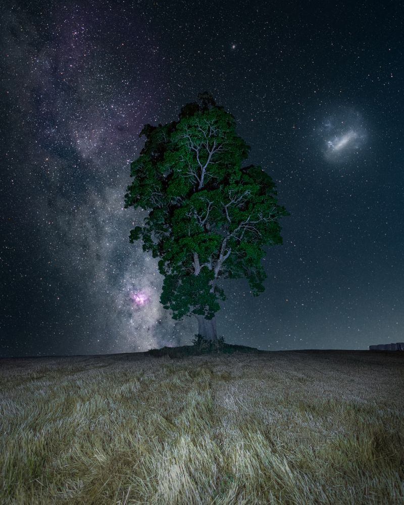 Photograph by Tomas Andonie