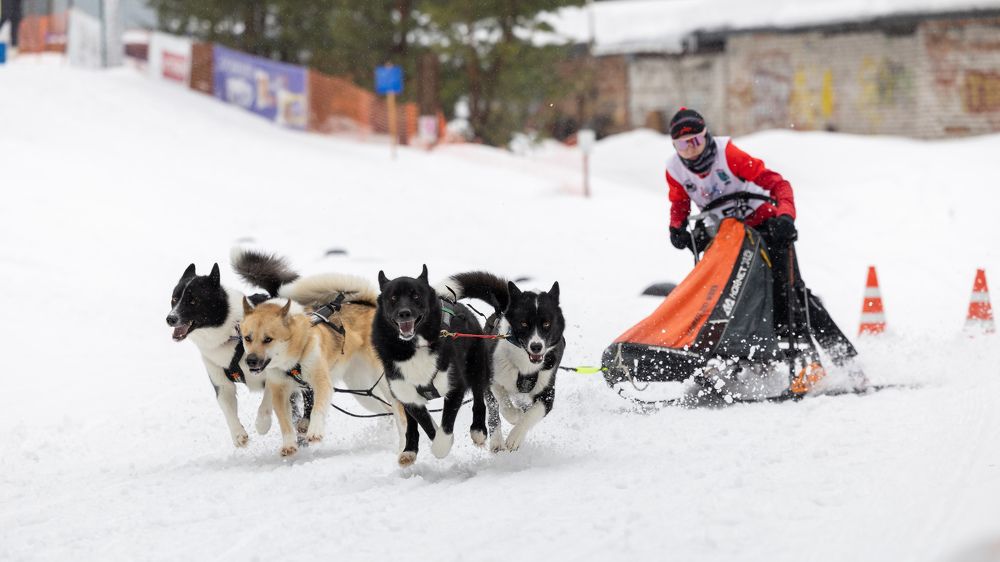 Photograph by Илья Юфа