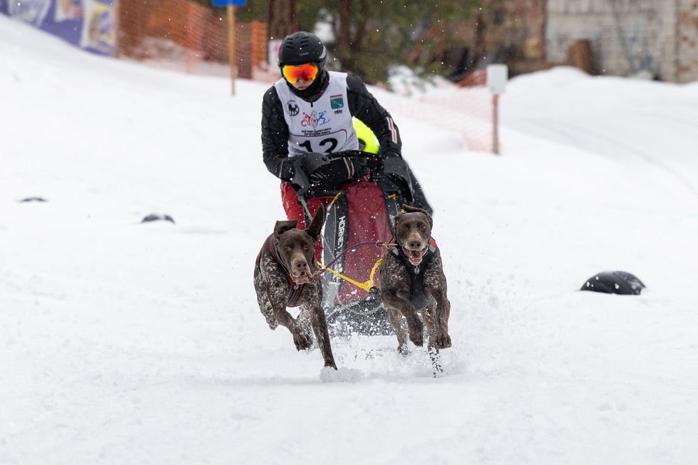 Photograph by Илья Юфа