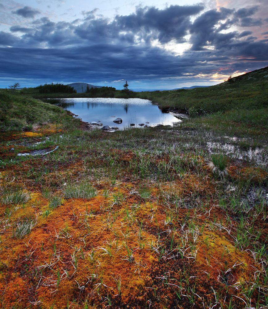 Июльская полночь в Лувеньгских тундрах.