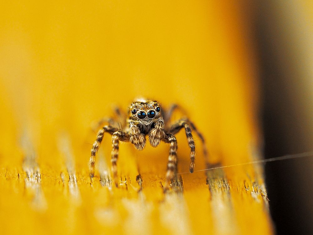 Photograph by Лейла Прощина