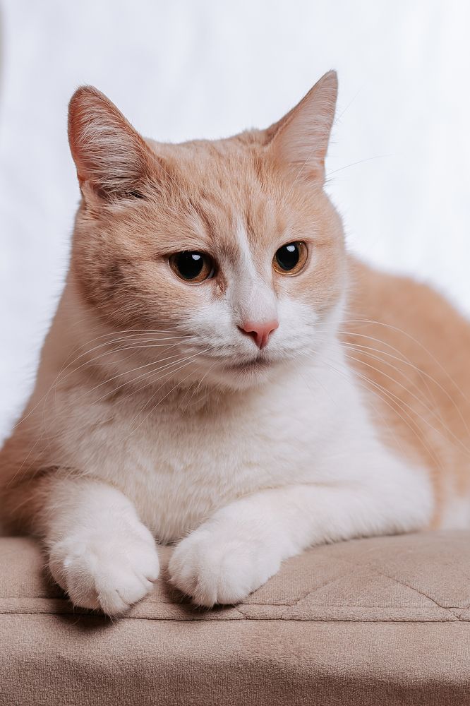 Photograph by Светлана Пудовкина