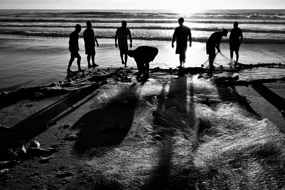 The fishermen in mullet harvest in Southern Brazil